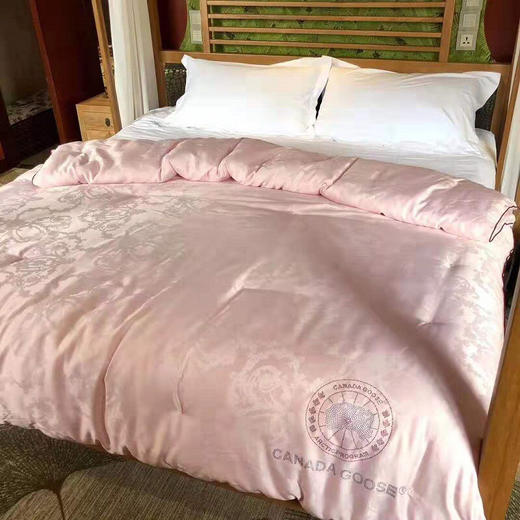 goose蚕丝被约6斤200230