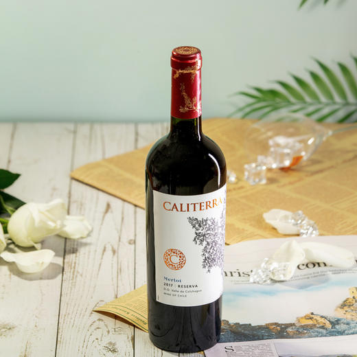 佳特利庄园珍藏梅洛红葡萄酒 商品图0