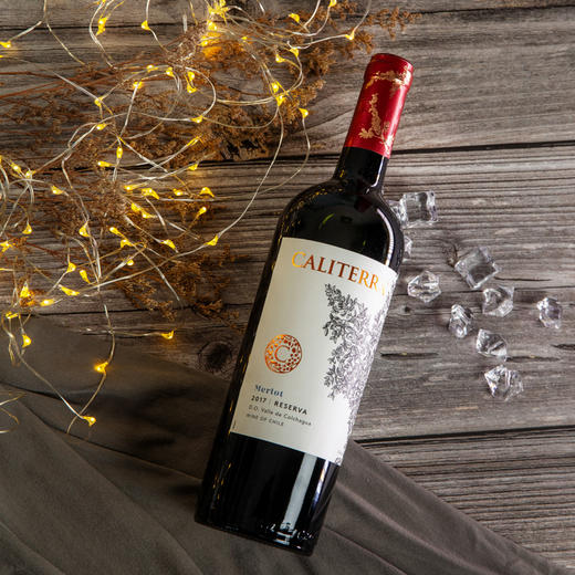 佳特利庄园珍藏梅洛红葡萄酒 商品图1