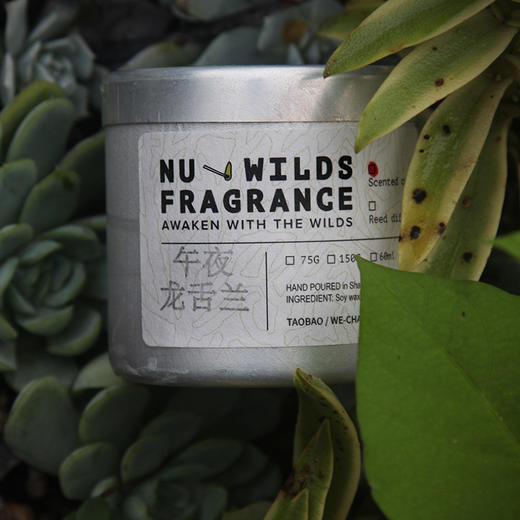 荒核 NuWilds 自然之息系列 香氛蜡烛 商品图0