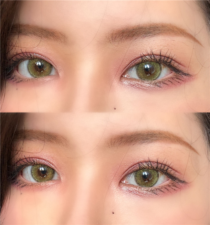 chonosmacaryellow橄榄茶棕