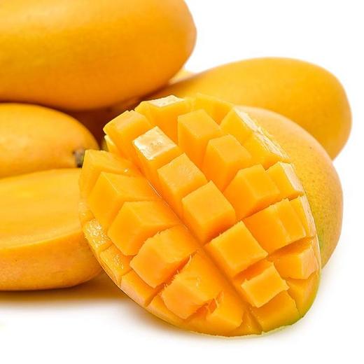 小台芒小腰芒 商品图0