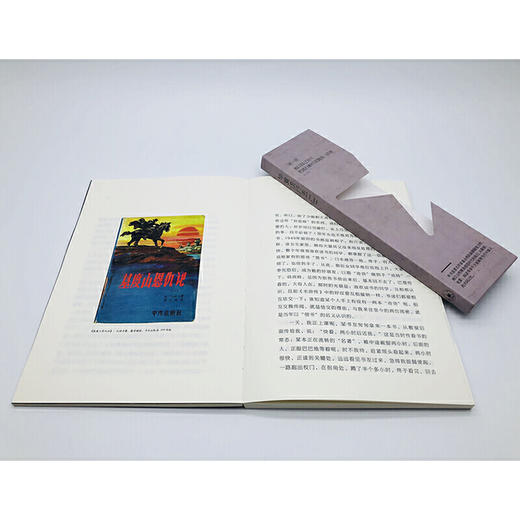 毕竟流行去（著名女作家翟永明倾心力作） 商品图3