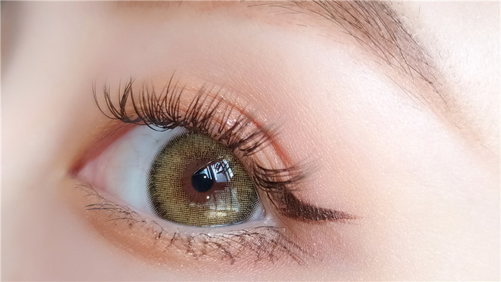 chonosmacaryellow橄榄茶棕