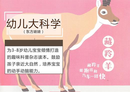 东方娃娃 智力刊/绘本刊/幼儿科学大发现/创意美术刊，年刊12期多组合订阅 商品图5