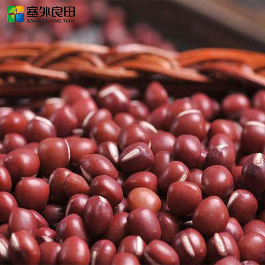 【塞外良田】五谷杂粮礼盒 商品图7