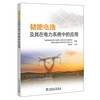 储能电池及其在电力系统中的应用 商品缩略图0