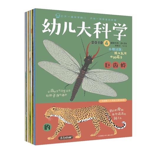 东方娃娃 智力刊/绘本刊/幼儿科学大发现/创意美术刊，年刊12期多组合订阅 商品图4