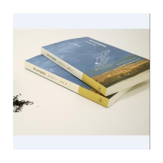 胡天汉月映西洋:丝路沧桑三千年(2017年中国好书奖得主张国刚新作，一带一路推荐读物) 商品图2