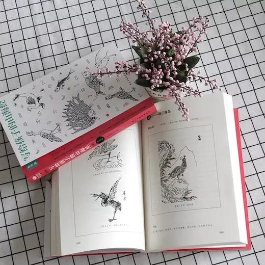 写给孩子的山海经（套装3册）：人神篇+异兽篇+鱼鸟篇 商品图3