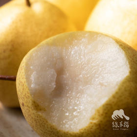 生态酥梨 | 合作生产 *Eco-crisp pear | Coproduction