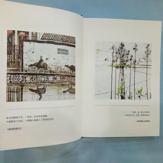 让生命还乡 王充闾经典散文 商品图1