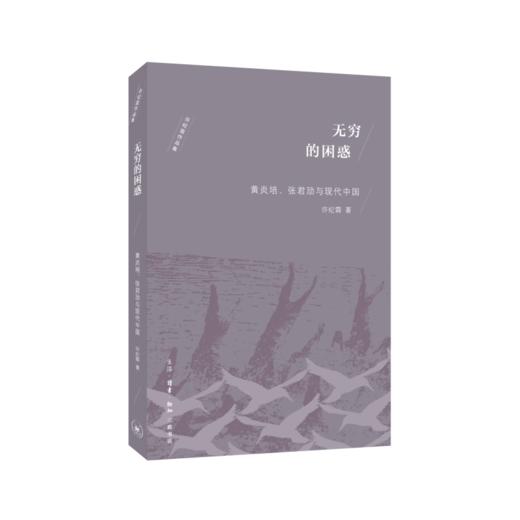 无穷的困惑 商品图4