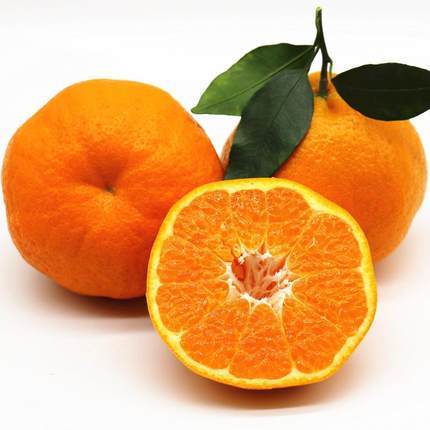 【整箱限时秒杀】春见耙耙柑 丑橘丑柑 (带箱重约9斤，净重约7斤)【当天可提货】 商品图7