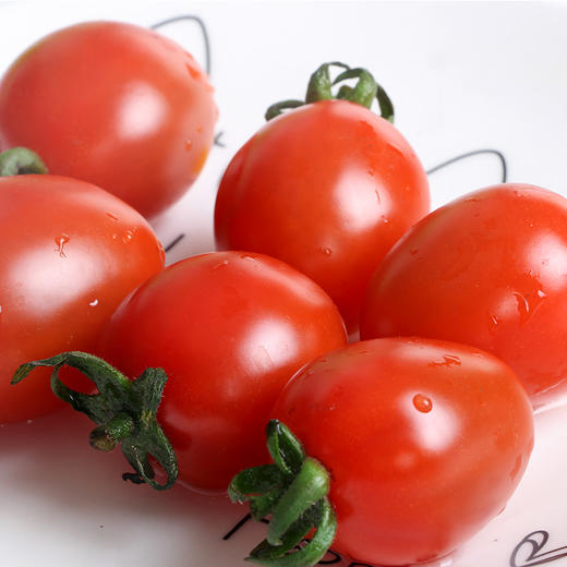 【拼团8.5元/盒】千禧电白小柿子(樱桃小番茄)1盒 (重约450克-500克)【当天可提货】 商品图7