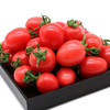 【拼团8.5元/盒】千禧电白小柿子(樱桃小番茄)1盒 (重约450克-500克)【当天可提货】 商品缩略图1