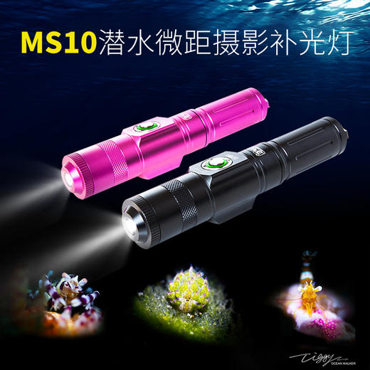 【装备】SUPE 专业潜水微距摄影补光灯MS10 商品图0