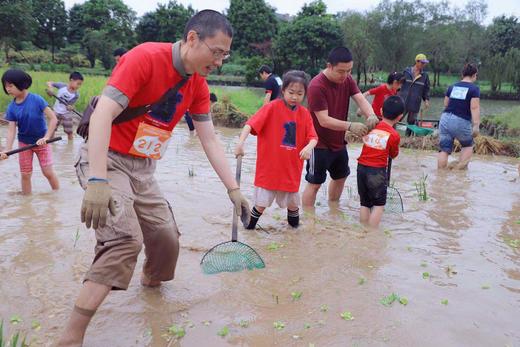 农耕园艺 | 一起来摸鱼欢度海珠湿地"清塘节"吧