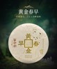 百中堂乔木大树 | 2019黄金春早（普洱生茶） 商品缩略图0