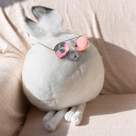 心动北极兔圆宝的100个理由