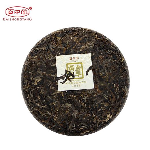百中堂乔木大树 | 2019黄金春早（普洱生茶） 商品图2