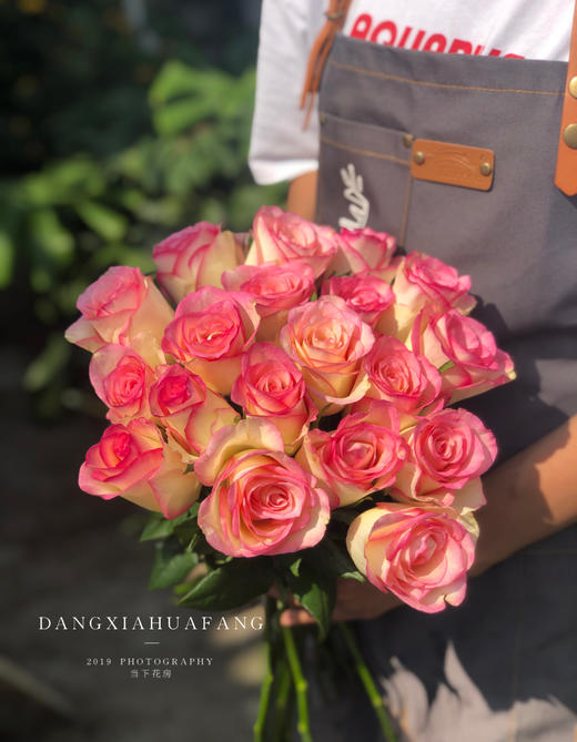 【红袖玫瑰.稀有】10支/份 买2份减20元 像挂在天边的晚霞