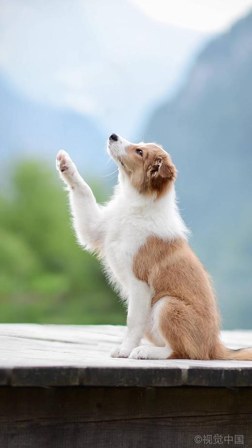 上架商品测试 商品图0