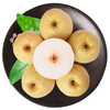 【安徽·砀山】老树酥梨 现摘5/10斤装 老树梨子 冰糖雪梨   丰水梨 砀山梨 新鲜水果 砀山酥梨 商品缩略图3