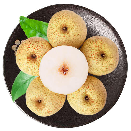 【安徽·砀山】老树酥梨 现摘5/10斤装 老树梨子 冰糖雪梨   丰水梨 砀山梨 新鲜水果 砀山酥梨 商品图3