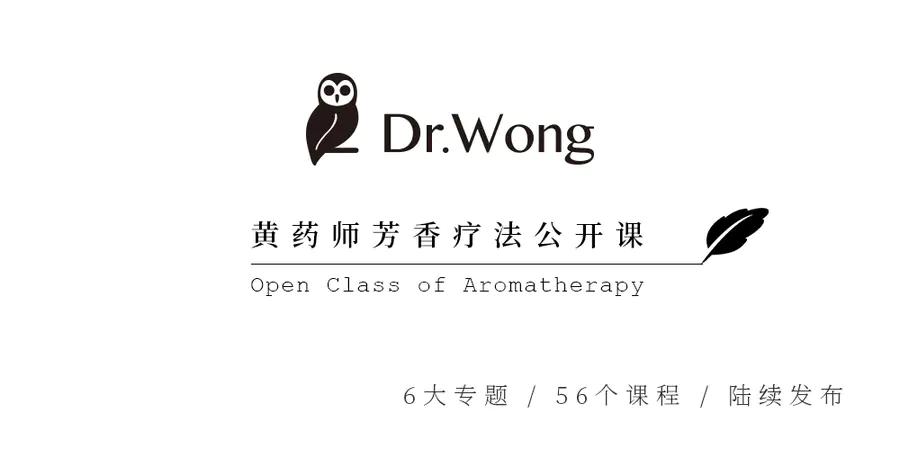第1单元丨第9课 精油如何分类 从有机化学角度 Dr Wong