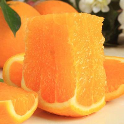 【4斤】新鲜赣南脐橙 (重约4斤) 【2日内提货】 商品图2