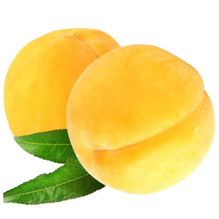 【中秋水果礼盒】 (精品礼盒)黄金桃礼盒1箱 ( 重约7斤—8斤)【当天提货】 商品图8
