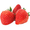 【整箱】丹东奶油草莓精品1箱 (净重约600g)【当天提货】 商品缩略图0
