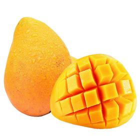 【秒杀6.5元/斤】新鲜海南小台芒芒果 重约1斤【2日内提货】