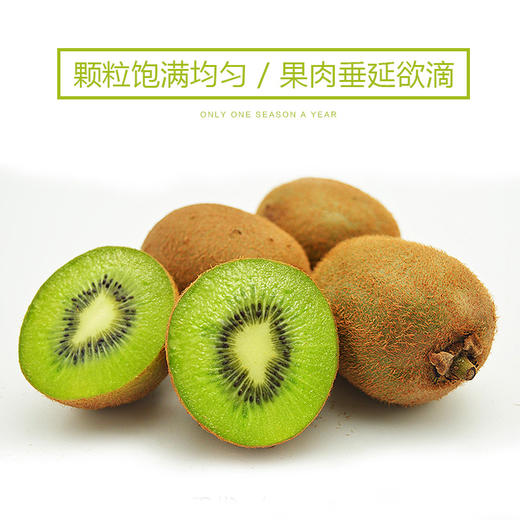 【精品礼盒限量抢购】蜜蜂奇异果礼盒(18颗，重约5斤)【当天提货】 商品图10