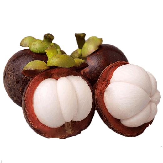 【拼团9.5元/斤】新鲜空运山竹(5A) 重约1斤【当天可提货】 商品图8