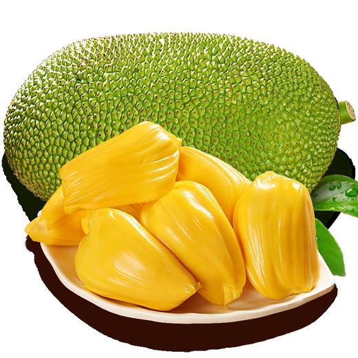 【1盒】现摘当季新鲜菠萝蜜1盒（重约250g-300g）【当天提货】 商品图0