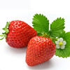 【整箱】丹东奶油草莓精品1箱 (净重约600g)【当天提货】 商品缩略图8