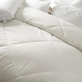 如何在2分钟内睡成死猪？（失眠必看！！！）