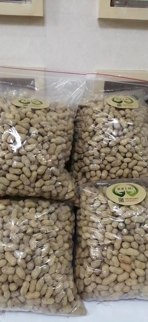 新黄土花生 商品图4