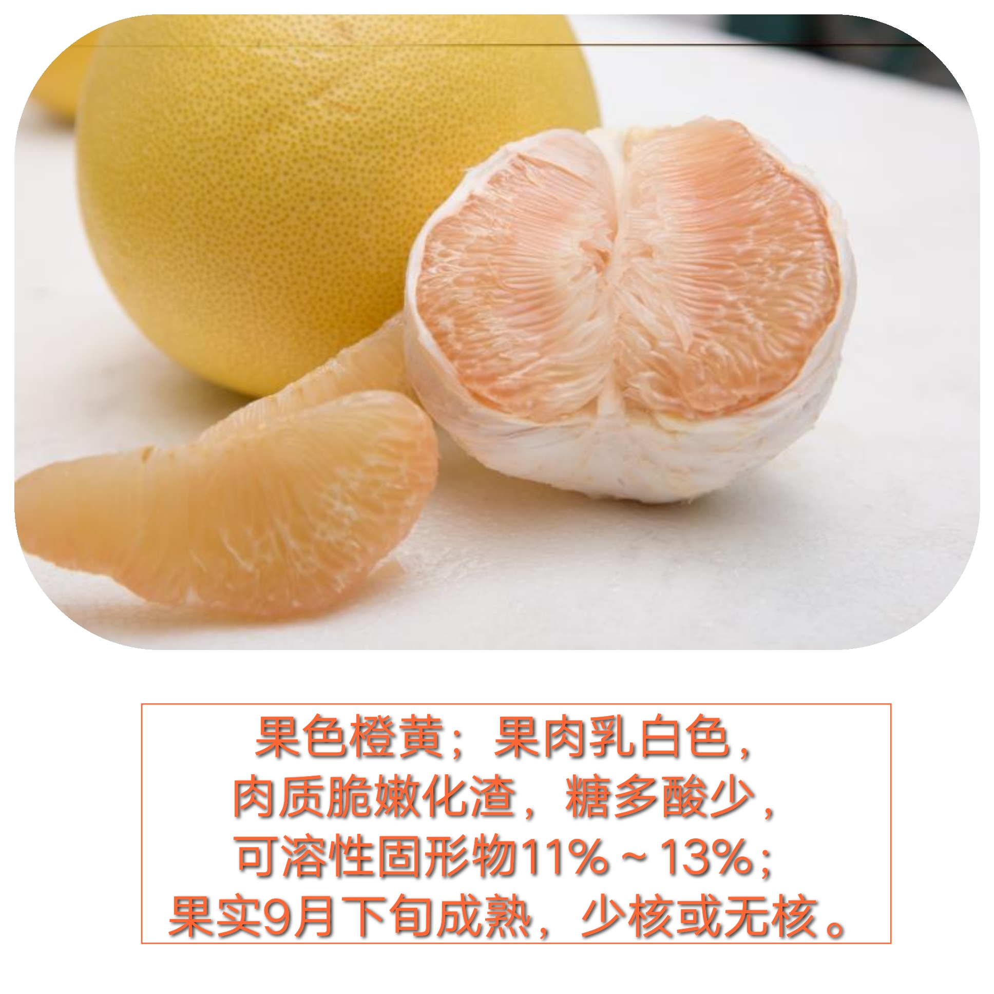 安江早香柚5个装