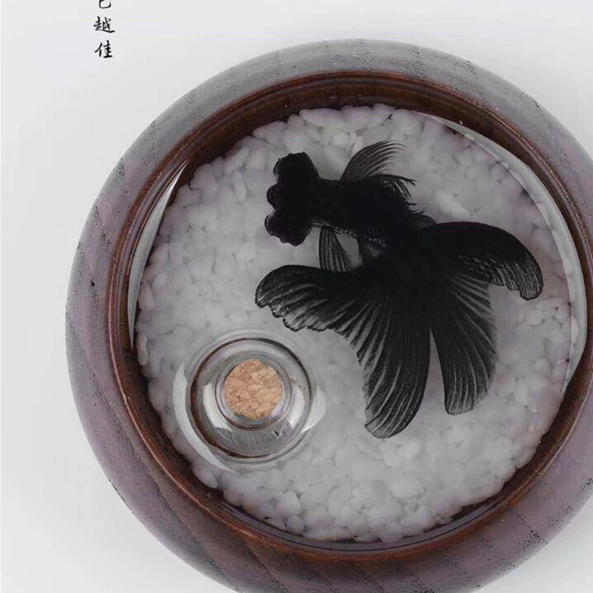 如鱼得水香盘（双鱼虾随机发出）