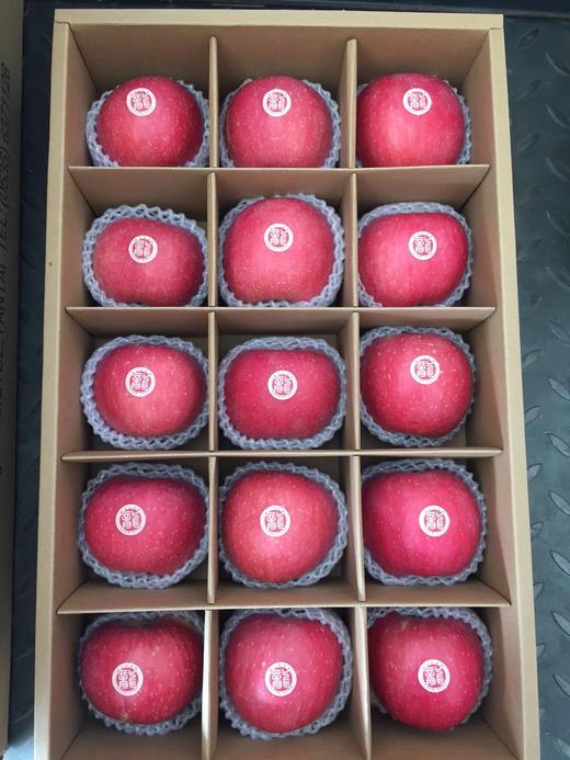 龙山百果园一锭红苹果9个装15个装好吃又好看的红苹果来啦