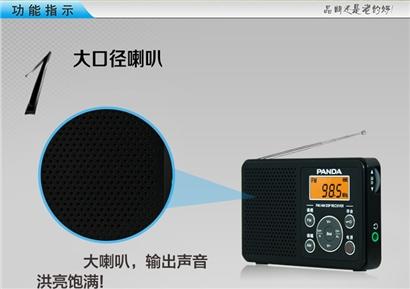 熊猫插卡音箱PA-6105 商品图0