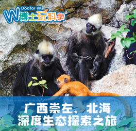 【广西】亲子科考@崇左|北海深度生态探索之旅