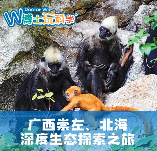 【广西】亲子科考@崇左|北海深度生态探索之旅 商品图0