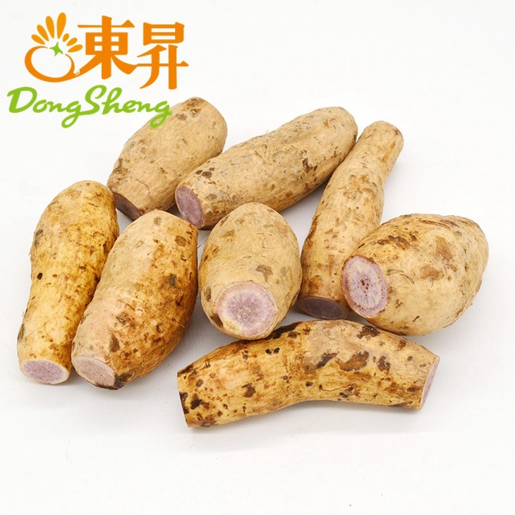 东升农场有机白皮紫薯地瓜广州蔬菜新鲜配送400g