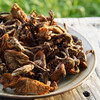 野生榛蘑干 | 合作生产*Wild dried hazel mushroom | Coproduction 商品缩略图0