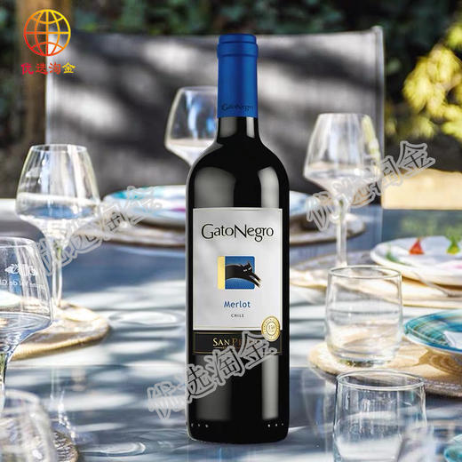 智利猫梅洛红蓝猫750ml/瓶    7804300120603   1*6 商品图0