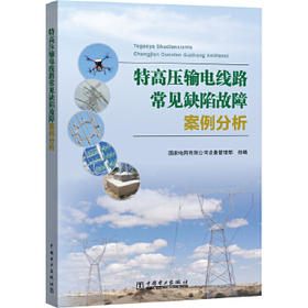 特高压输电线路常见缺陷故障案例分析